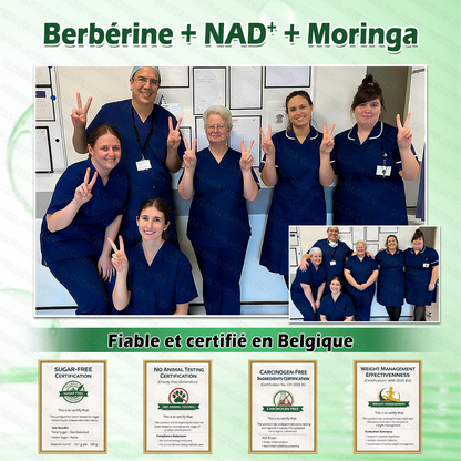 Boutique officielle 🏃🏃‍➡️𝐆𝐋𝐎𝐑𝐄𝐍𝐃𝐀® Moringa · Berbérine + NAD+ – Patch Microneedle Nano Avancé 10-en-1 (1×/jour, résultats visibles en 7 jours) | Obésité, relâchement cutané, apnée du sommeil, articulations, etc.-LYJ