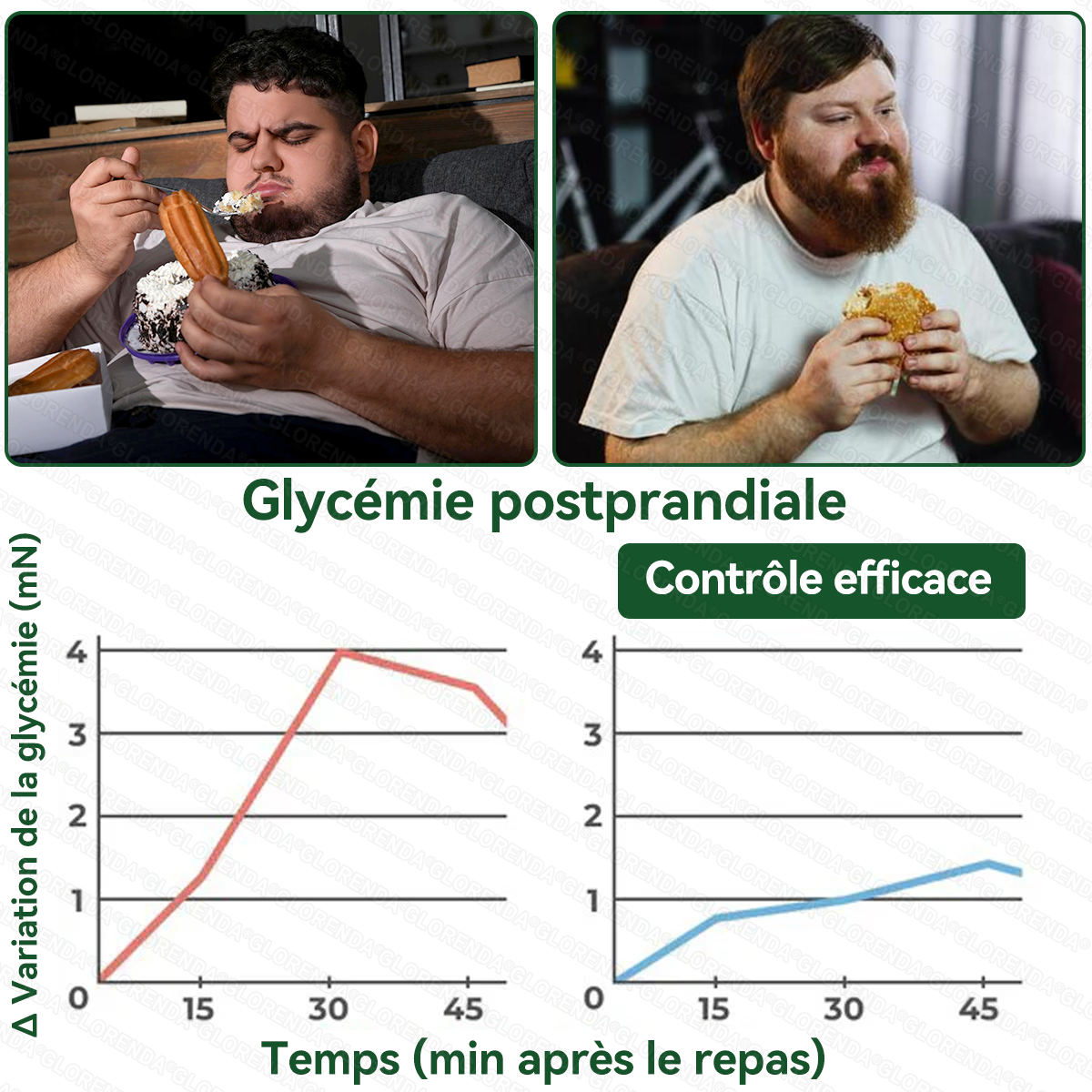 Boutique officielle 🏃🏃‍➡️𝐆𝐋𝐎𝐑𝐄𝐍𝐃𝐀® Moringa · Berbérine + NAD+ – Patch Microneedle Nano Avancé 10-en-1 (1×/jour, résultats visibles en 7 jours) | Obésité, relâchement cutané, apnée du sommeil, articulations, etc.-LYJ